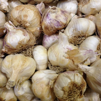 Garlic Provence Wight